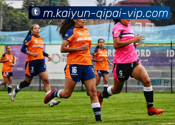 开云棋牌发展历程